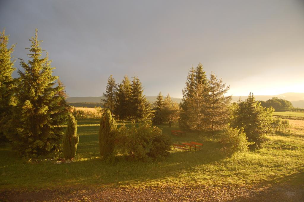 Rezydencja Terra Sudeta Bed & Breakfast Miedzylesie  Exterior photo