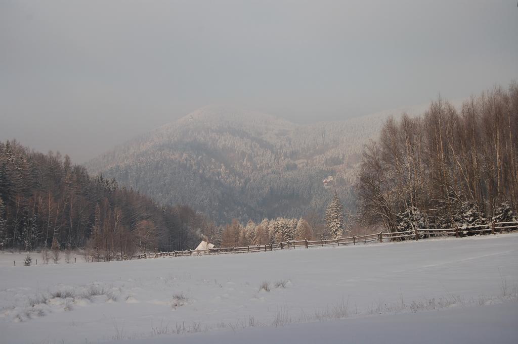 Rezydencja Terra Sudeta Bed & Breakfast Miedzylesie  Exterior photo